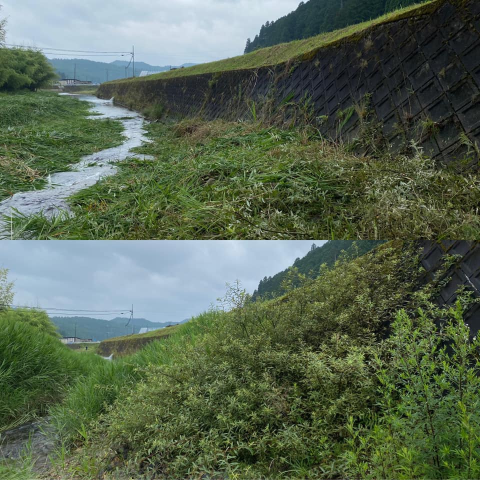 草刈りしながら考えた②