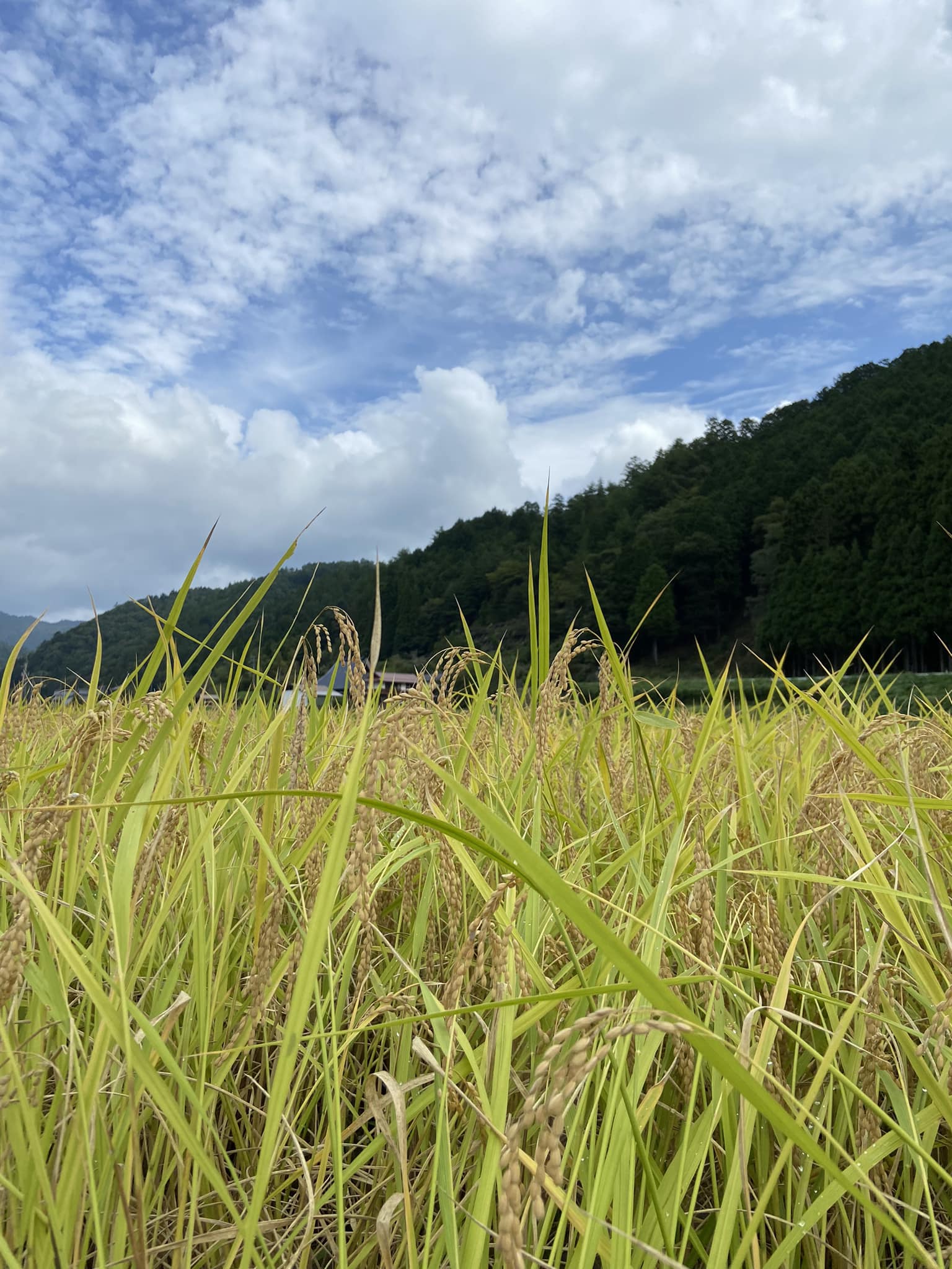 【12/14本会議質問予告③】本日です！