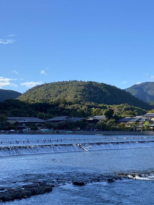 【12/14本会議質問予告②】