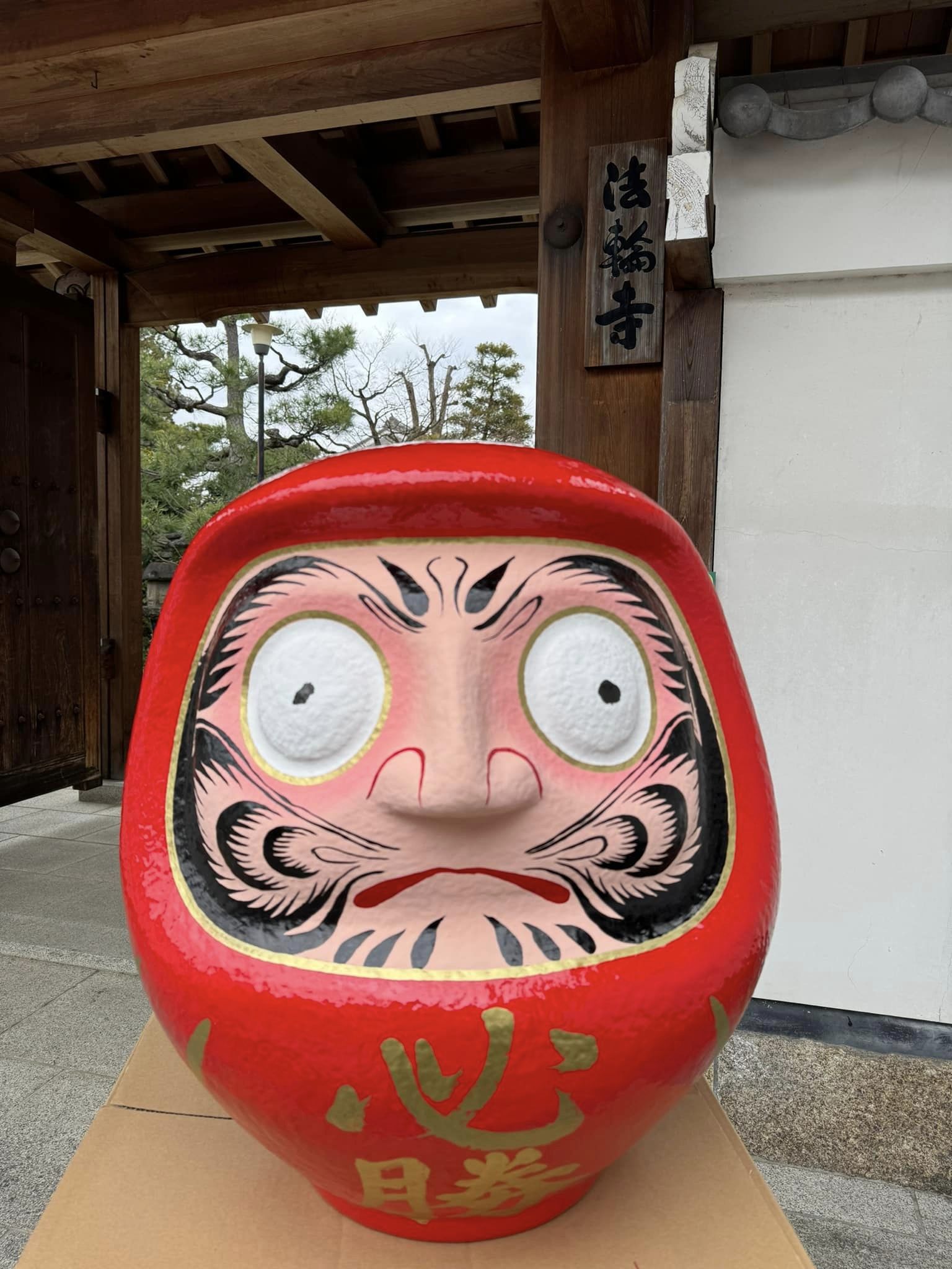 【ダルマ奉納】